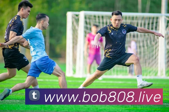 bob体育平台生态图